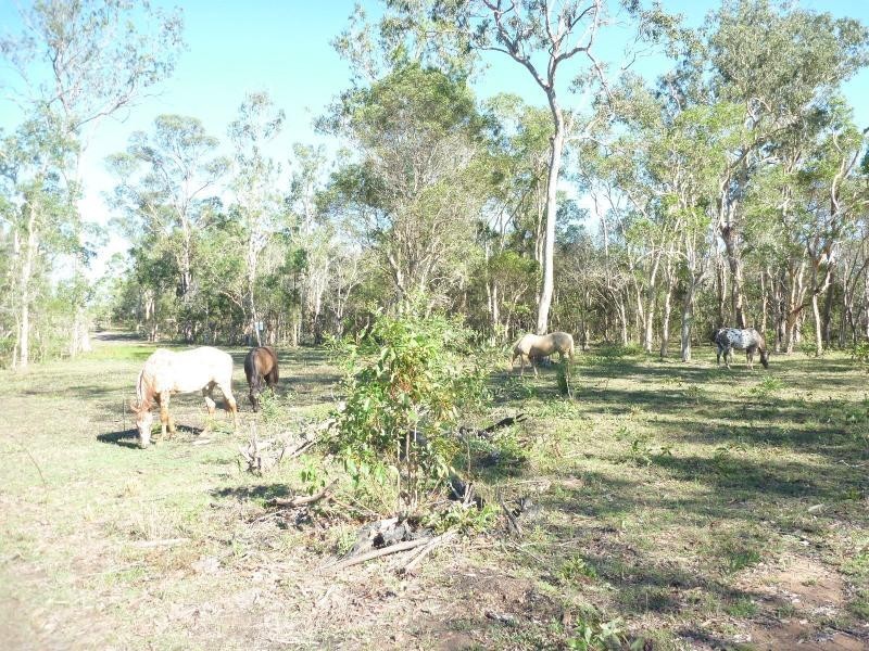 Farnsfield QLD 4660