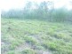 Booyal QLD 4671