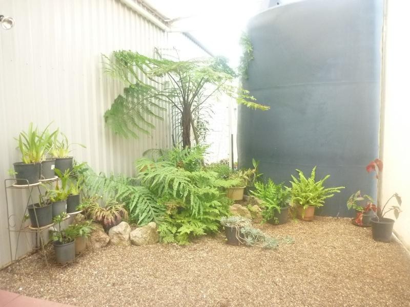 111 Wechsels Road, Horton, Childers QLD 4660
