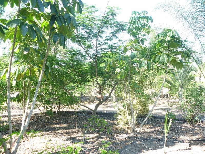 78 Commodore Drive, Forest View Estate, South Bingera QLD 4670