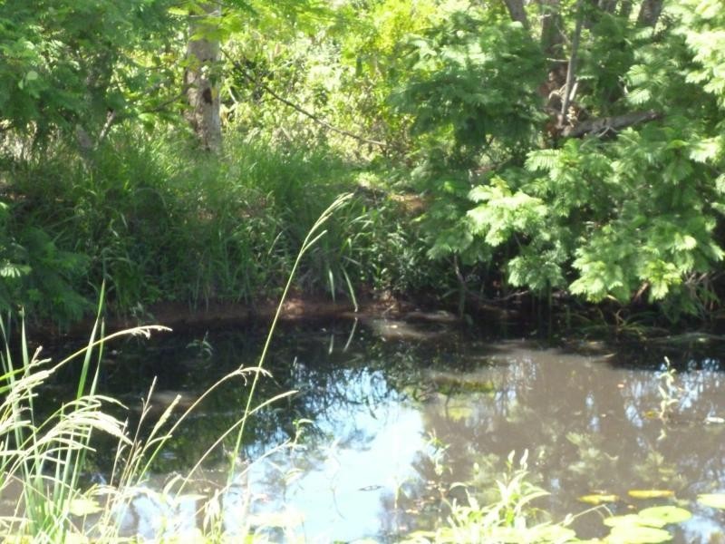 128 Thompson Road, Childers QLD 4660