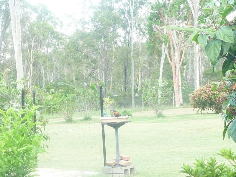 13 De Ville Court, Forest View Estate, South Bingera QLD 4670