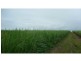 Horton QLD 4660