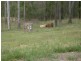 Dallarnil QLD 4621