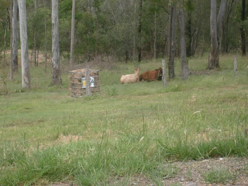 Dallarnil QLD 4621