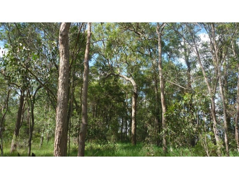 Woodgate QLD 4660