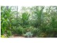 South Bingera QLD 4670