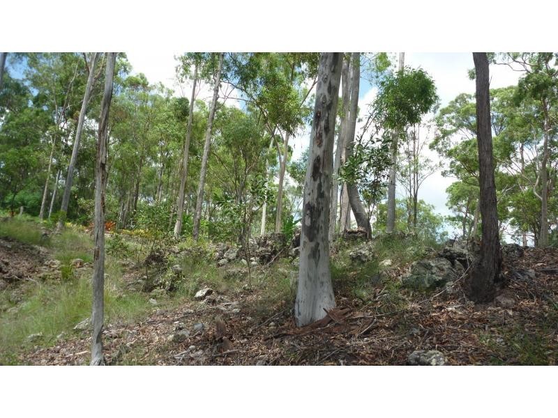 South Bingera QLD 4670