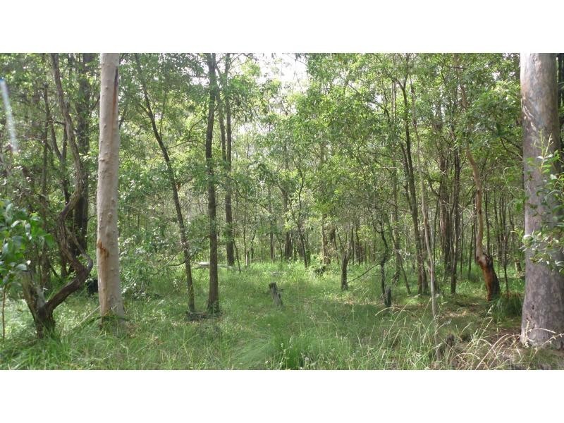 67 Walkers Road, South Bingera QLD 4670