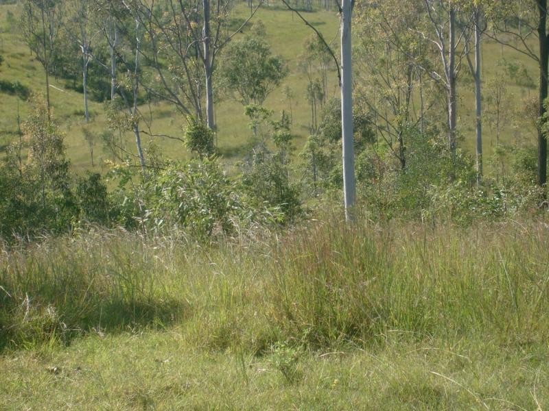Duingal QLD 4671