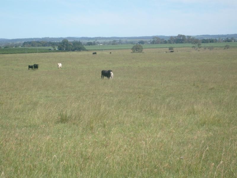 Duingal QLD 4671