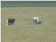 Duingal QLD 4671