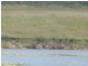 Duingal QLD 4671