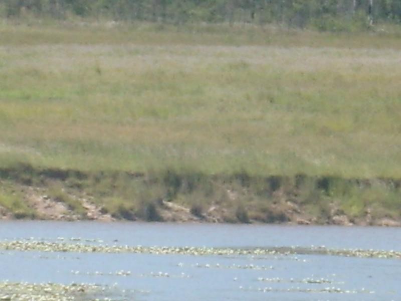 Duingal QLD 4671