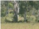 Duingal QLD 4671