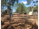 3 Charlton Street, Buxton QLD 4660
