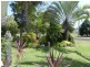 1 Cassia Court, Woodgate QLD 4660