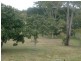 Coringa QLD 4621