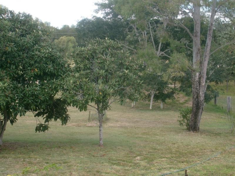 Coringa QLD 4621