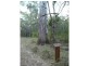 143 Park Avenue , Abington, North Isis QLD 4660