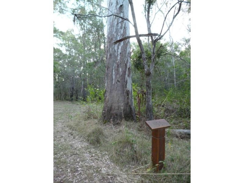 143 Park Avenue , Abington, North Isis QLD 4660