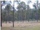 143 Park Avenue , Abington, North Isis QLD 4660