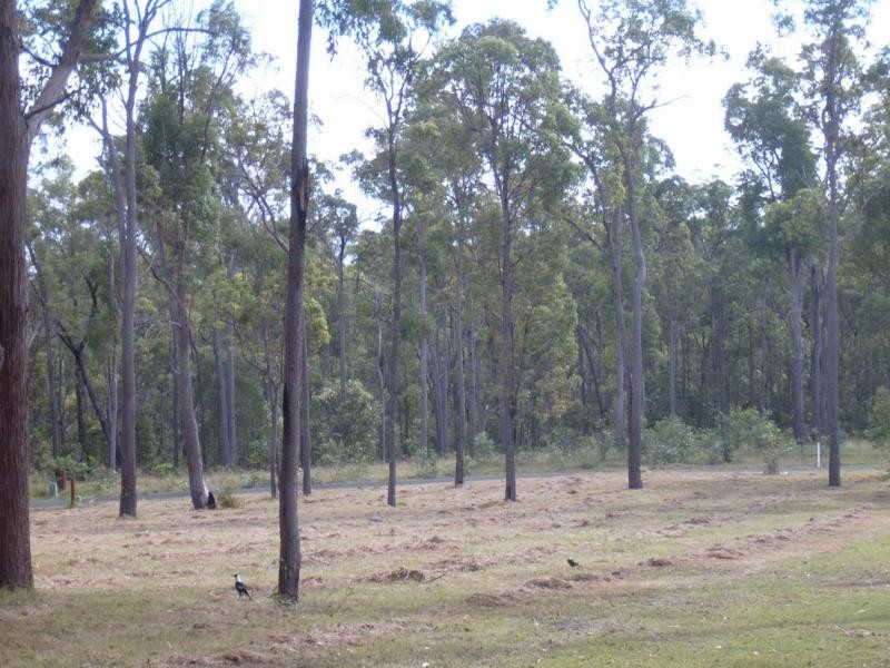 143 Park Avenue , Abington, North Isis QLD 4660