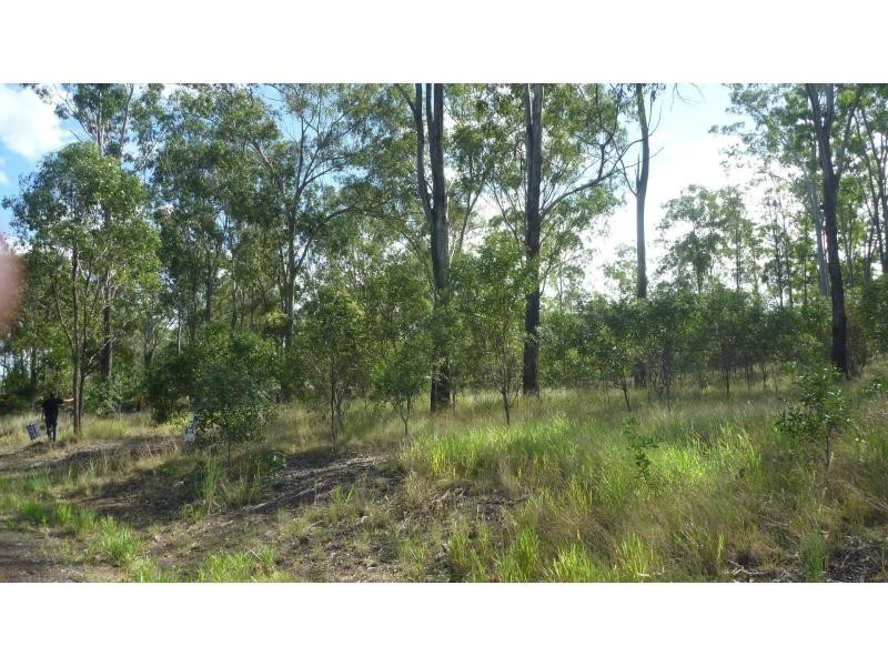 36 Commodore Drive, Forest View, South Bingera QLD 4670