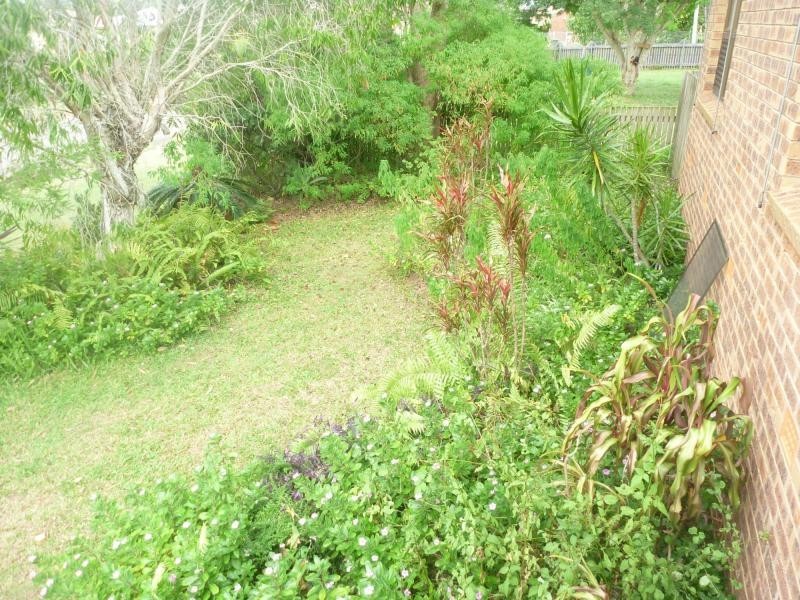 1 City-Vue Terrace, Avoca QLD 4670