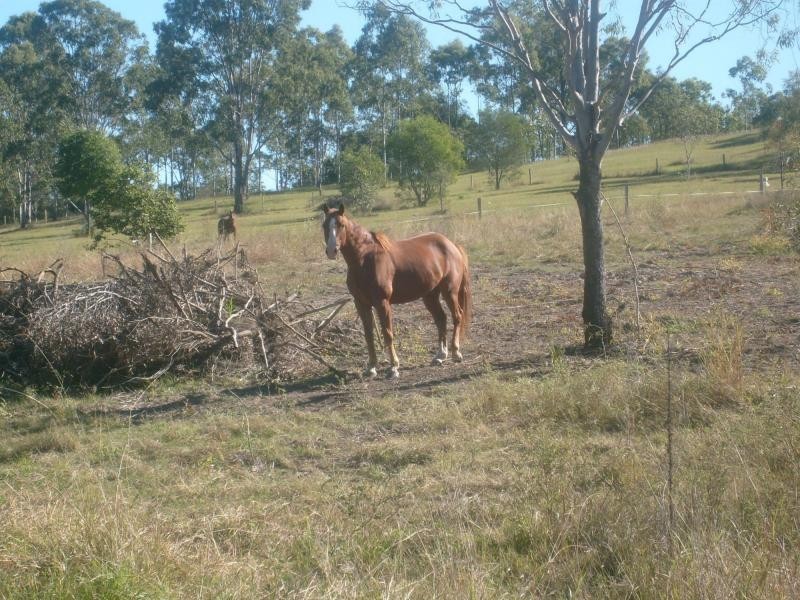 Woowoonga QLD 4621