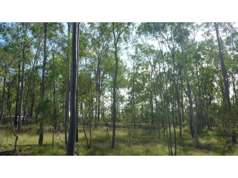 Apple Tree Creek QLD 4660