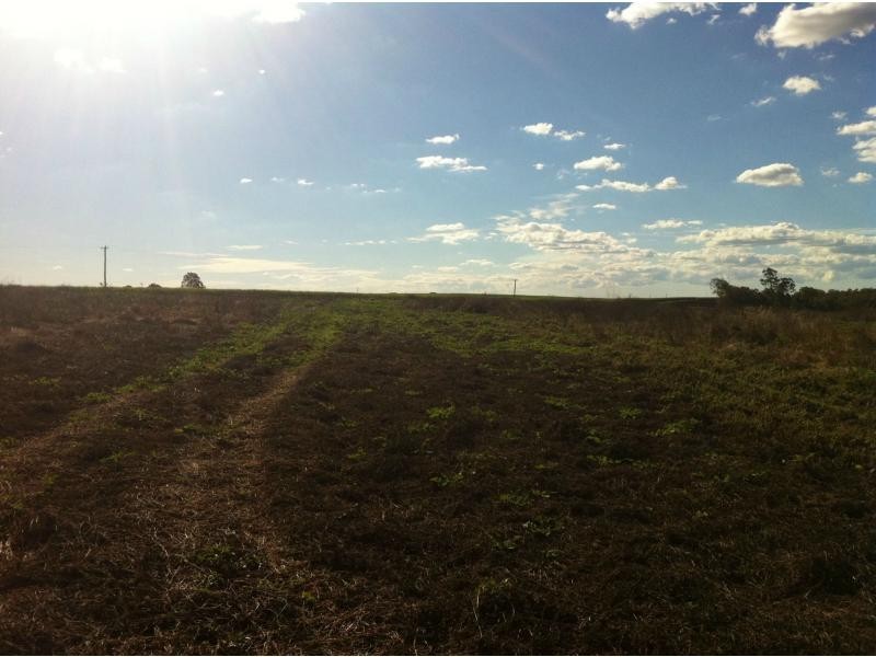 417 Kevin Livingston Drive, Isis Central QLD 4660