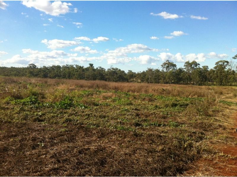 417 Kevin Livingston Drive, Isis Central QLD 4660