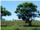 172 Huxley Road, Childers QLD 4660