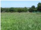 172 Huxley Road, Childers QLD 4660