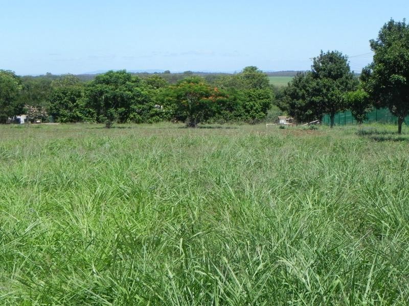 172 Huxley Road, Childers QLD 4660