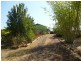 126 Rainbows Road, South Isis QLD 4660