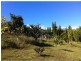 126 Rainbows Road, South Isis QLD 4660