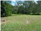 29399 Bruce Highway, Apple Tree Creek QLD 4660
