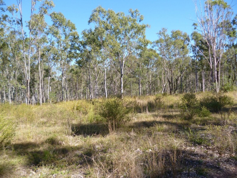 Lot 5 Walla Road, Morganville QLD 4671
