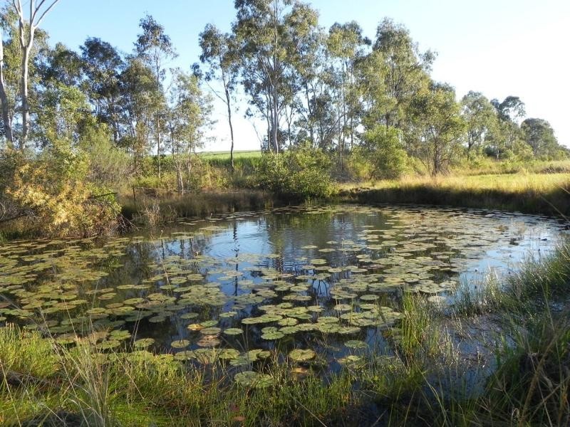 203 Conlons Road, Horton QLD 4660