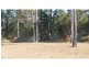 43 Kurundi Street, Cordalba QLD 4660