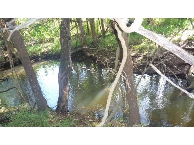 93 Gelsominos Road, South Isis QLD 4660