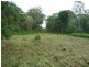 L24 Old Creek Road, Apple Tree Creek QLD 4660