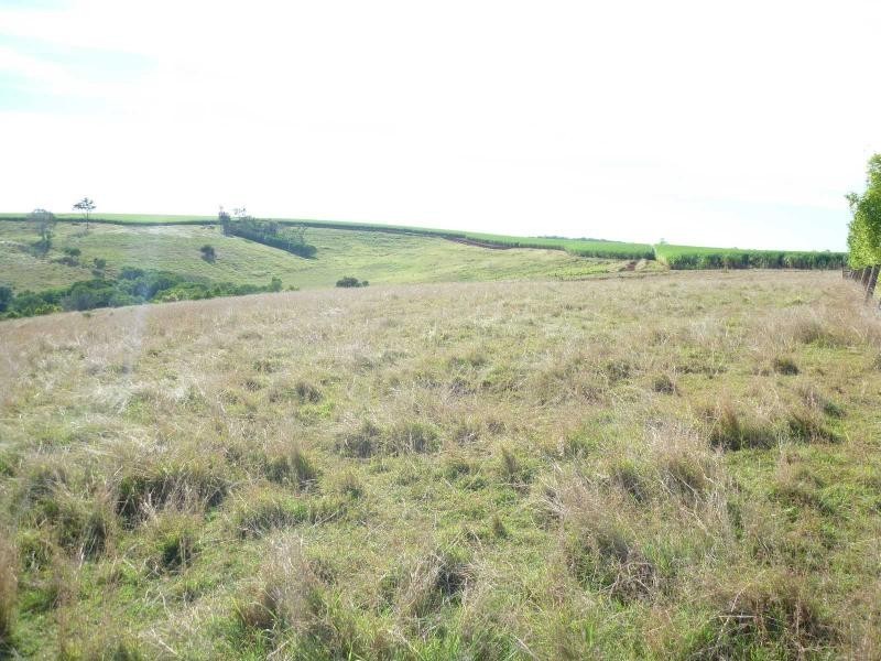 123 Trevors Road, Isis Central QLD 4660