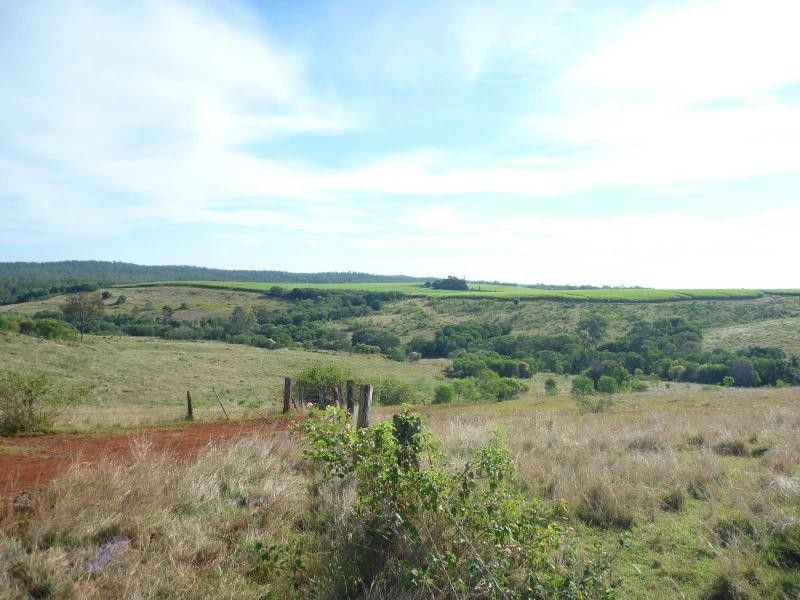 123 Trevors Road, Isis Central QLD 4660