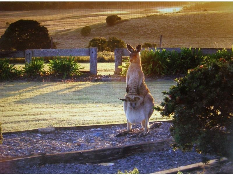 314 Huxley Road, North Isis QLD 4660