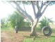 Redridge QLD 4660