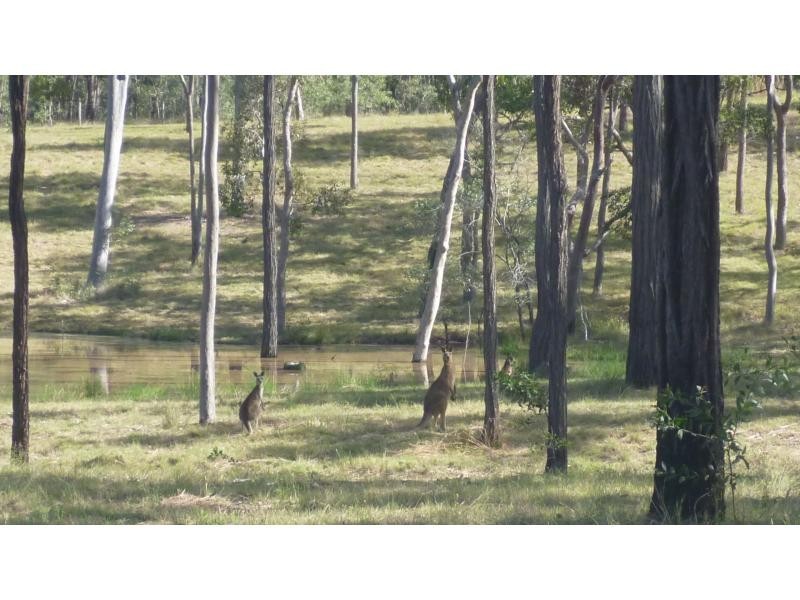 191 Chappell Hills Road, South Isis QLD 4660