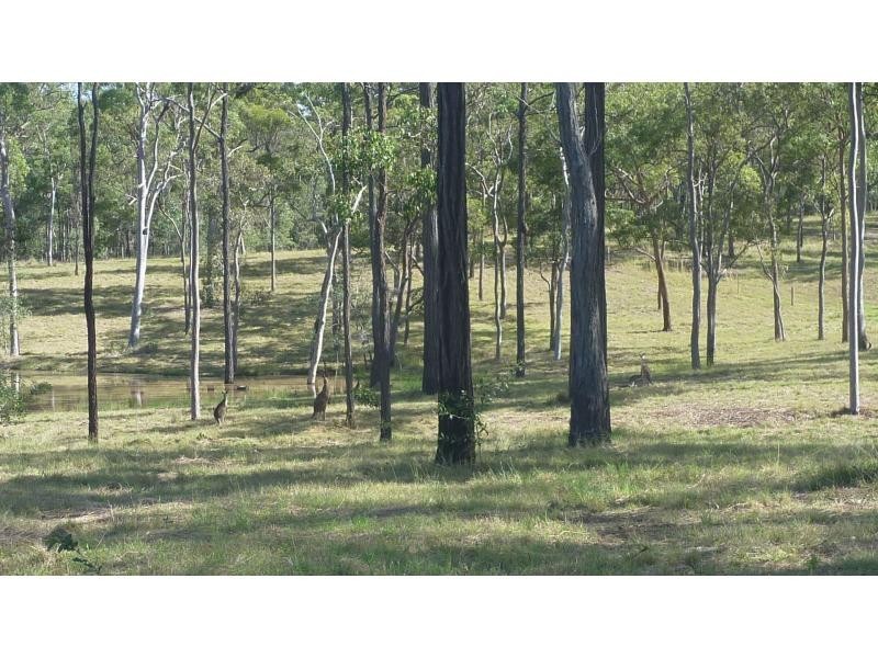 191 Chappell Hills Road, South Isis QLD 4660